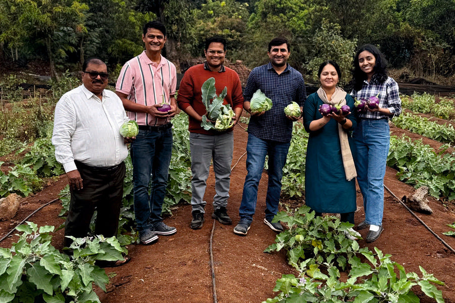 Organic Vegetable Farm Visit – Ensuring Freshness at the Source