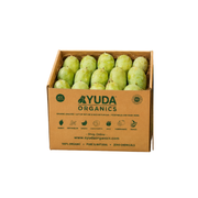 Organic Kesar Mango