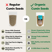 Jeera Cumin Whole