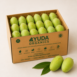 Kesar Mango -Organic