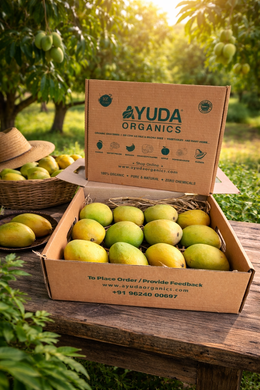 Organic Alphonso Mango