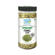 Fennel (Saunf)