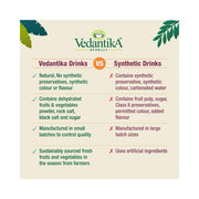 Vedantika Herbals Amla Energy Drink (10 Sachets)